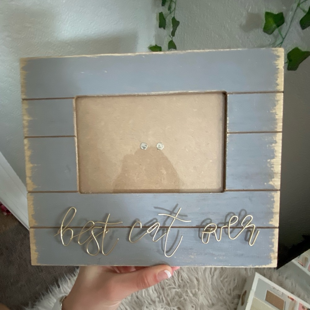 Best Cat Ever Picture Frame